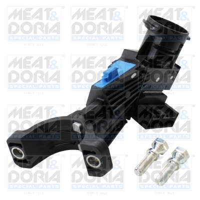 Steering Lock